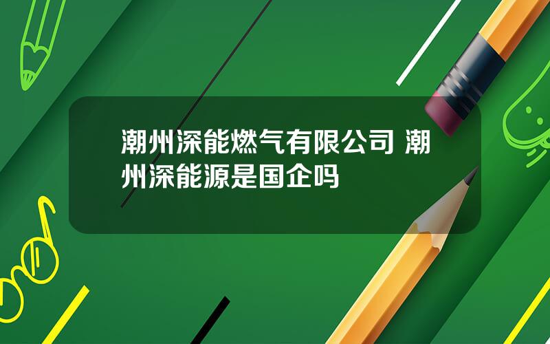 潮州深能燃气有限公司 潮州深能源是国企吗